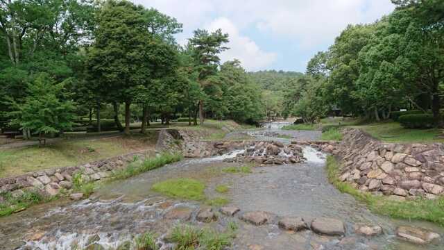 砂川公園の川遊び