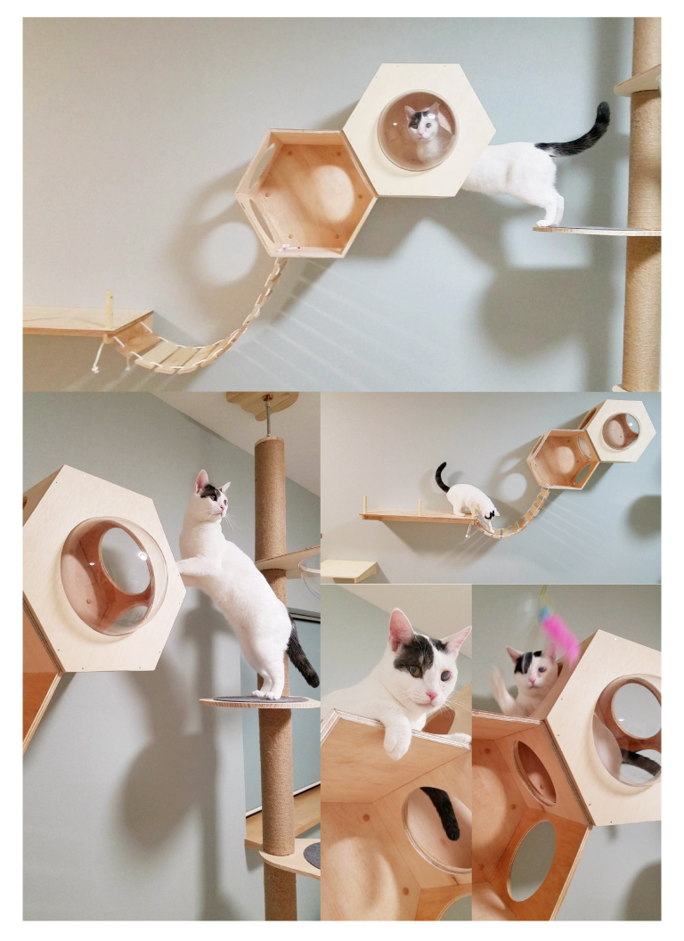 エルデザインの猫部屋ショールーム制作中の様子