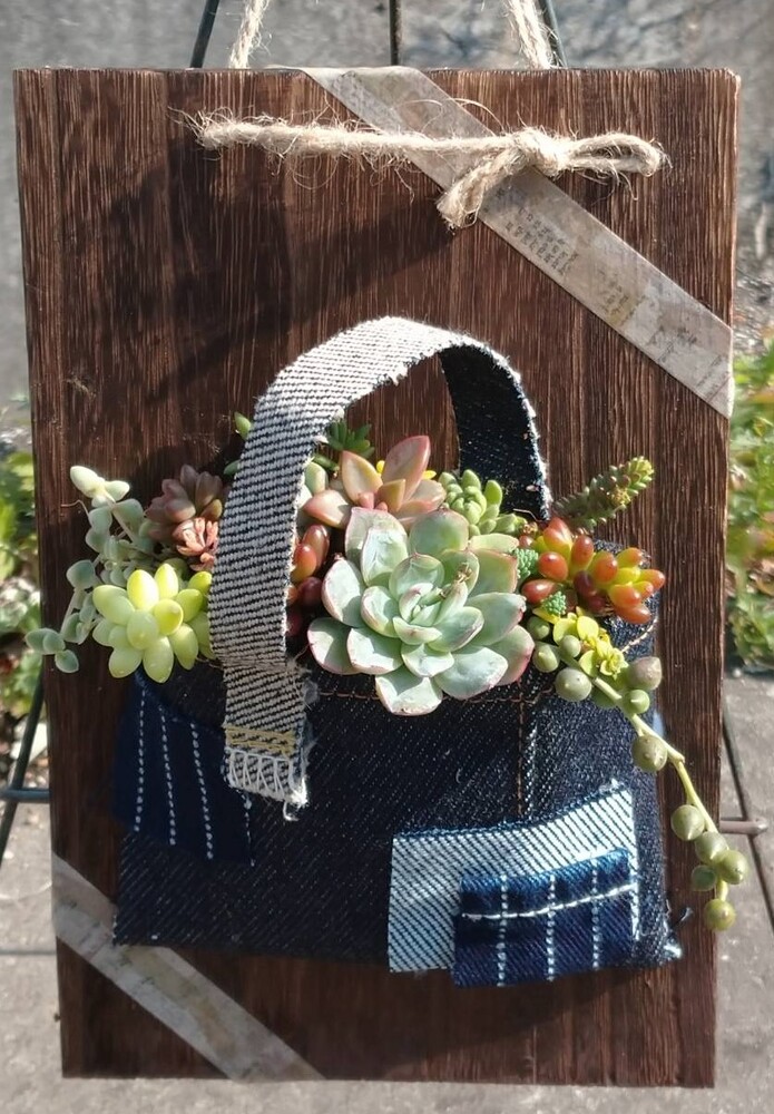 【倉敷】多肉植物のかわいい寄せ植え☆苗のプレゼント付き～ウッドボードにデニムのポケット～