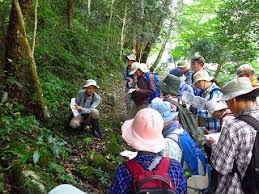【倉敷】第30回シダの世界