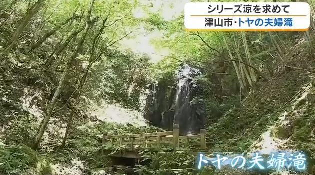 【岡山の涼スポット】津山市「トヤの夫婦滝」へ　寄り添う2本の滝と清流で夏を満喫