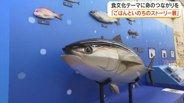 【岡山市】「ごはんといのちのストーリー展」開幕　食文化や命のつながりを親子で学べる体験型展示