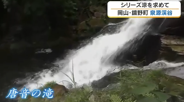 【鏡野町】夏の穴場「泉源渓谷」で涼を満喫！滝めぐり＆アマゴのつかみ取りも【岡山】