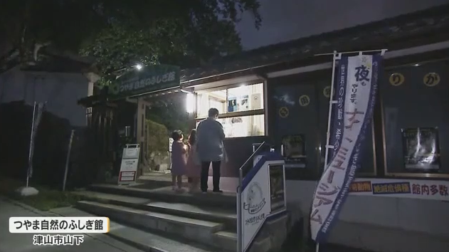 夜の博物館を探検！「ナイトミュージアム」津山で開催　暗闇に浮かぶ動物たちを観察