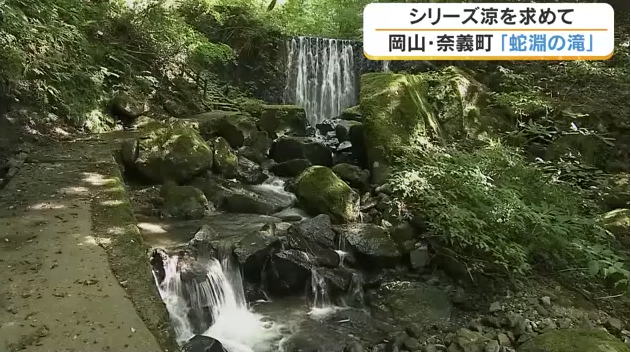 【涼を求めて】奈義町「蛇淵の滝」で夏の涼を満喫　なぎビーフや黒豆ソフトも【岡山】