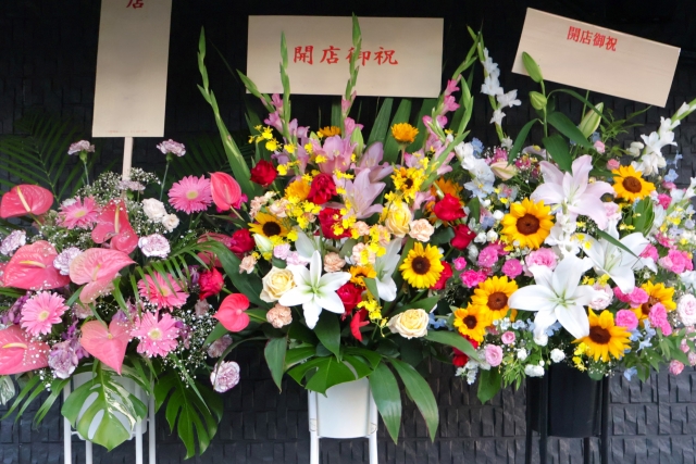 岡山駅が大幅リニューアル！「さんすて岡山」「岡山一番街」に31店舗オープン　岡山初出店も続々【岡山】