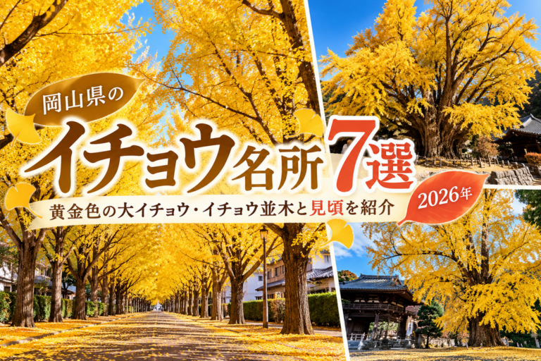【2026年】岡山県のイチョウ名所7選｜黄金色の大イチョウ・イチョウ並木と見頃を紹介