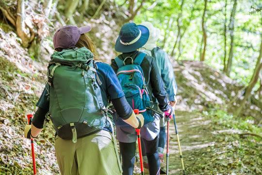 【岡山市中区】楽しく里山の自然発見【操山公園里山センター】