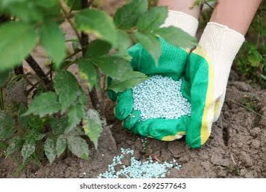 【岡山市北区】講習会　植物と肥料3大要素の話【岡山市半田山植物園】