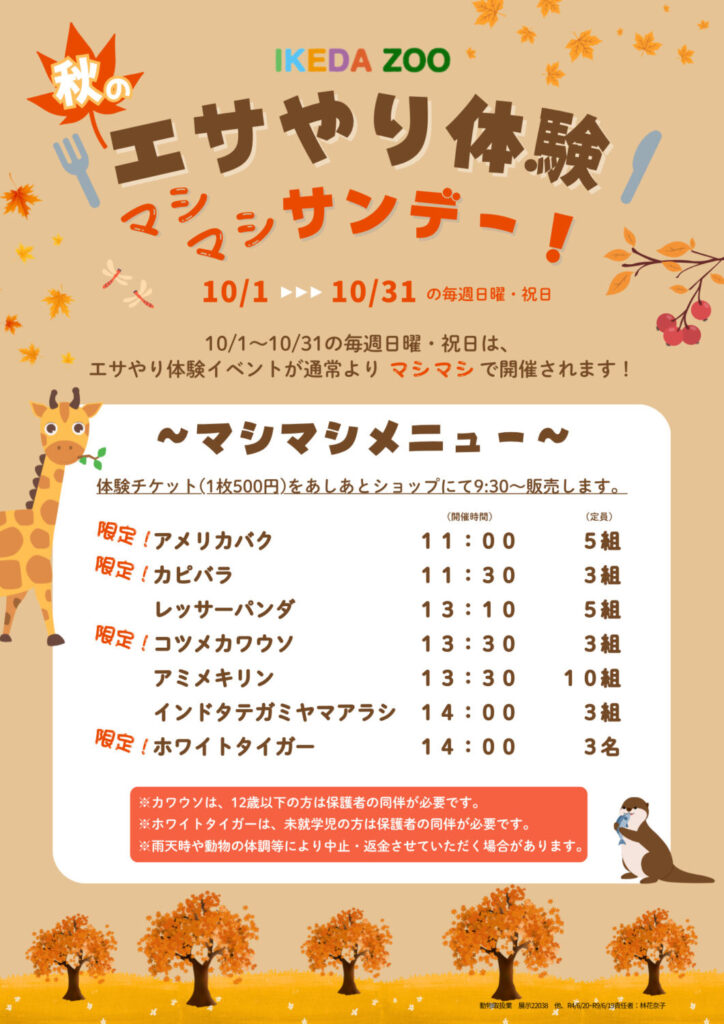 池田動物園で特別なえさやり体験！コツメカワウソやホワイトタイガーも登場、10月18日・25日にも開催【岡山】